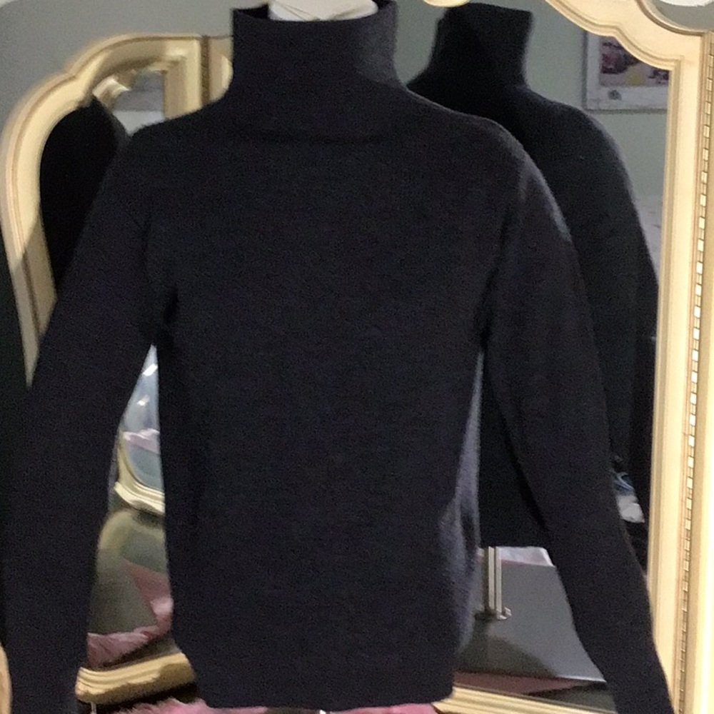 Barena Venezia Turtleneck sweater.